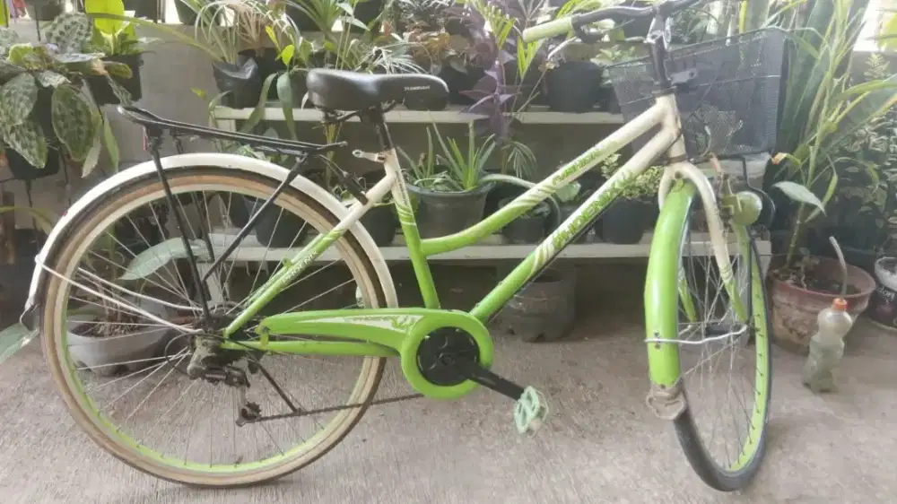 Sepeda keranjang 26