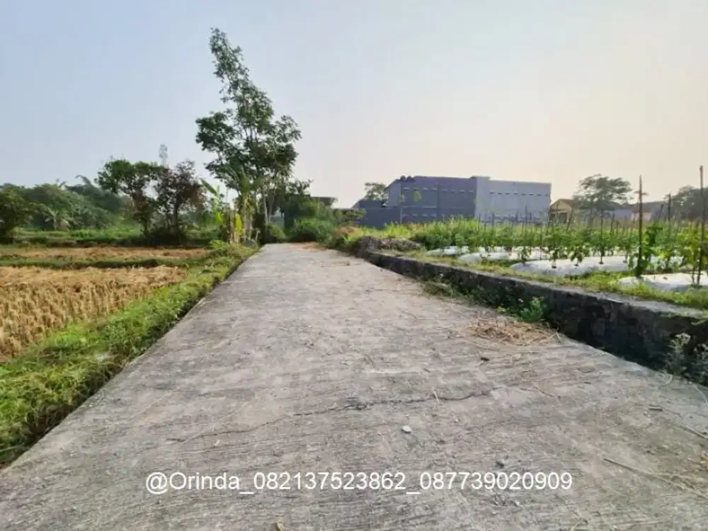 LT 1056 LD15 JL GITO GATI PALAGAN JL MAGELANG TANAH DEKAT PEMDA SLEMAN, MALL SCH, MASJID SUCIATI, JL DAMAI, LEMPONGSARI COCOK RUMAH VILLA HOMESTAY