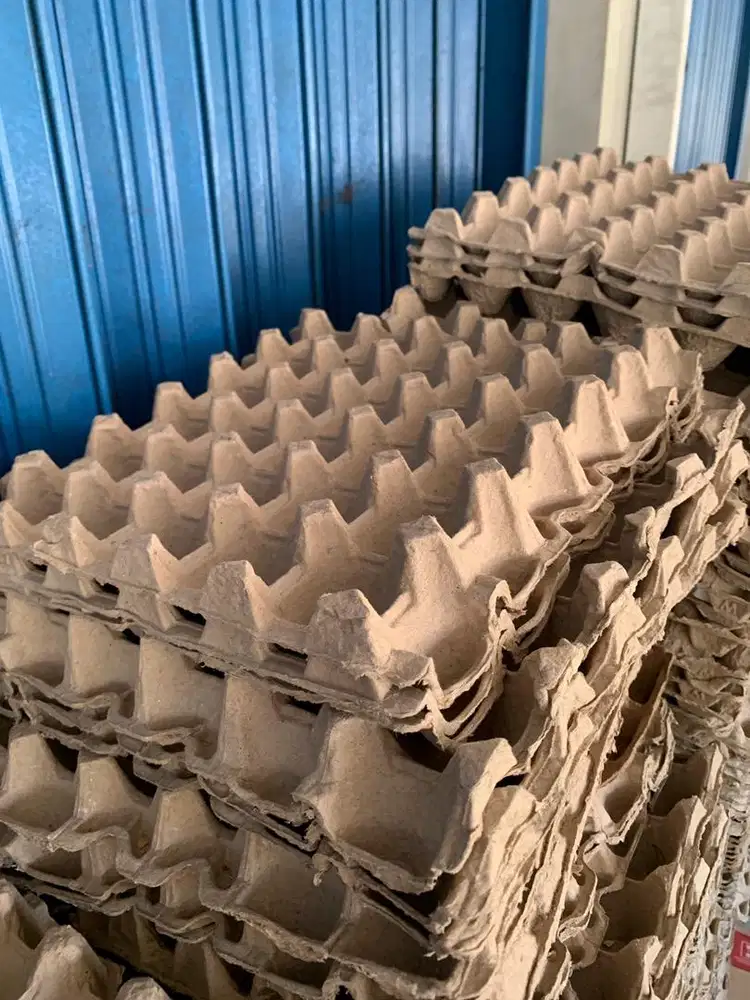 Jual Rak Telur Kertas/ Tray Telur Bekas
