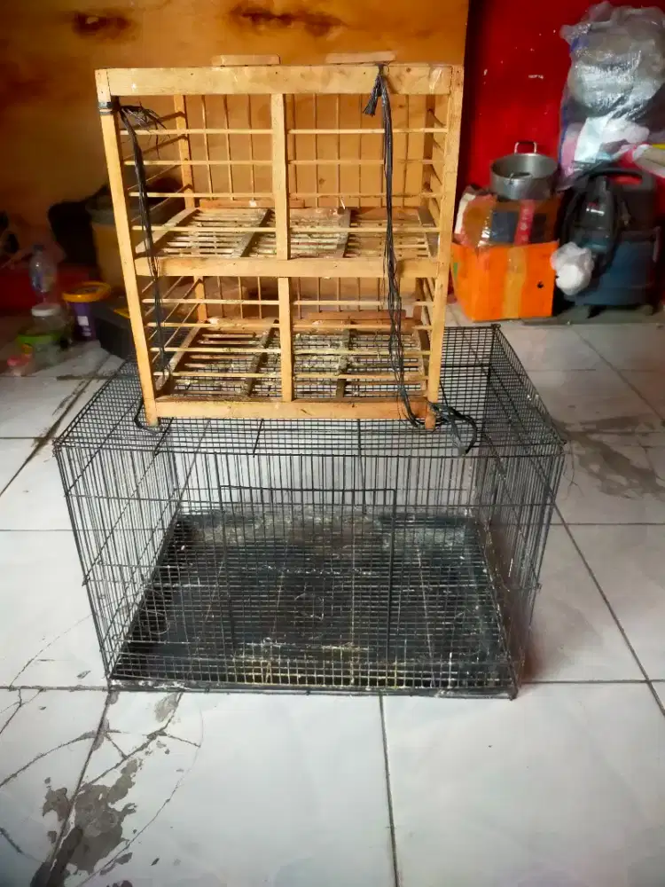 Kandang burung kucing ditambun