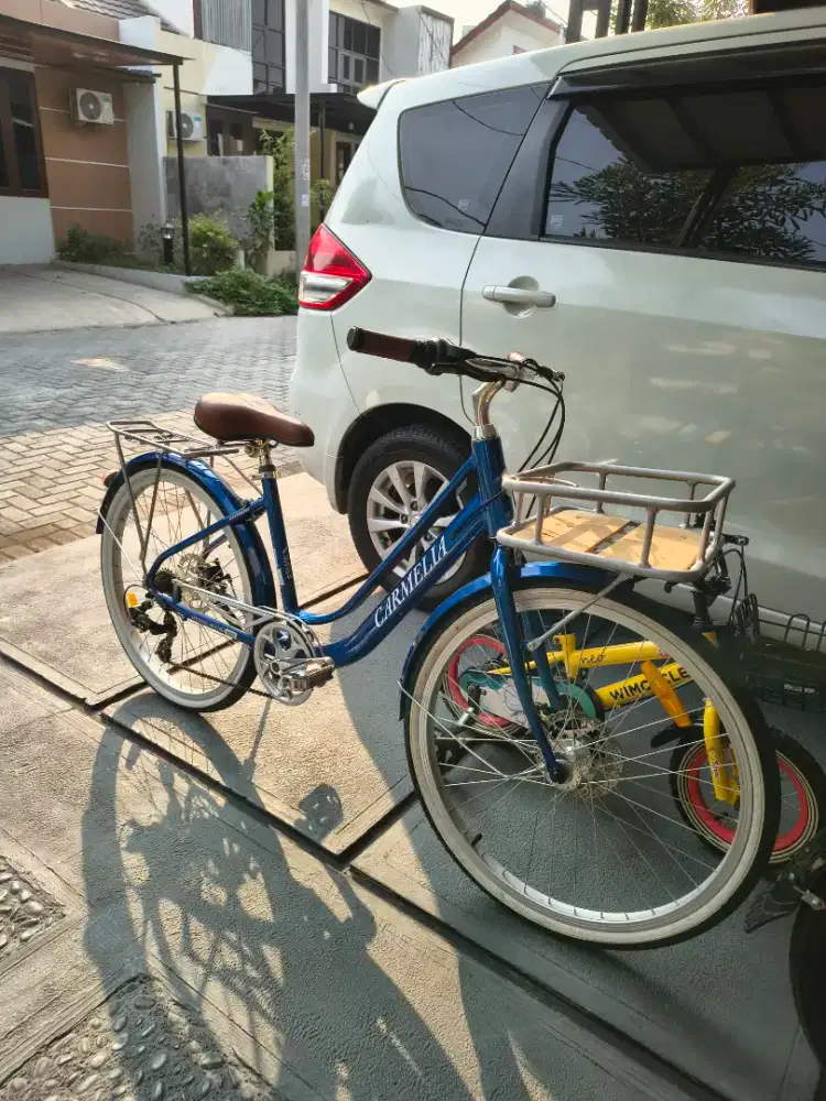 Sepeda Keranjang City Bike Element Carmelia