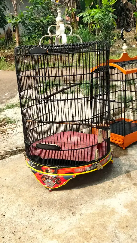 Sangkar burung murai Ebod no 2