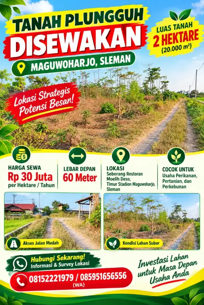Disewakan tanah strategis untuk pertanian dan perikanan di Maguwoharjo