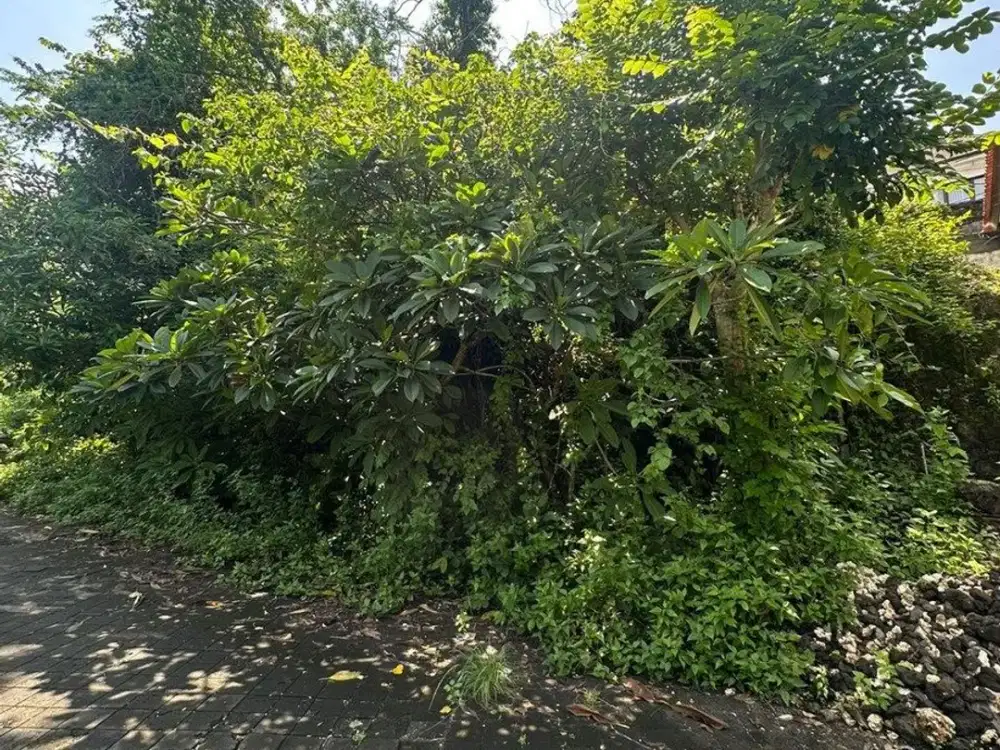 LAND FOR SALE – NEAR ITDC NUSA DUA, BALI.