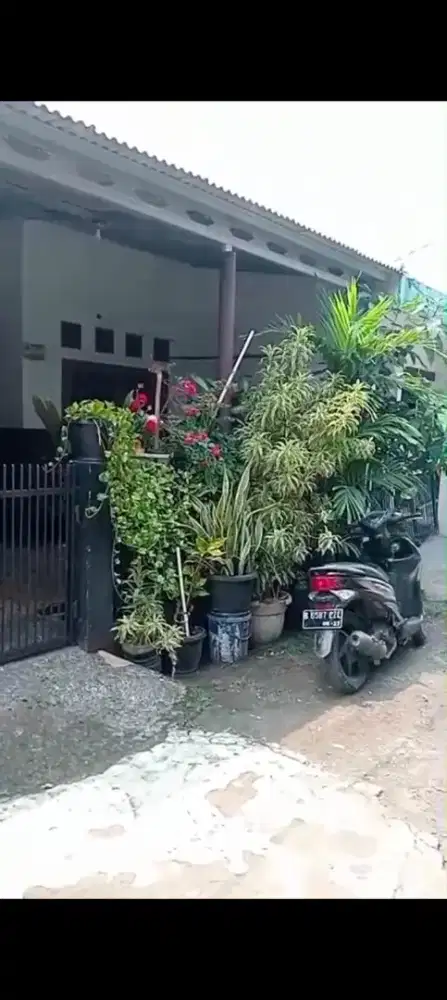 Rio second dijual dlm perum 280jt(60m²)Kalimulya Cilodong Depok
