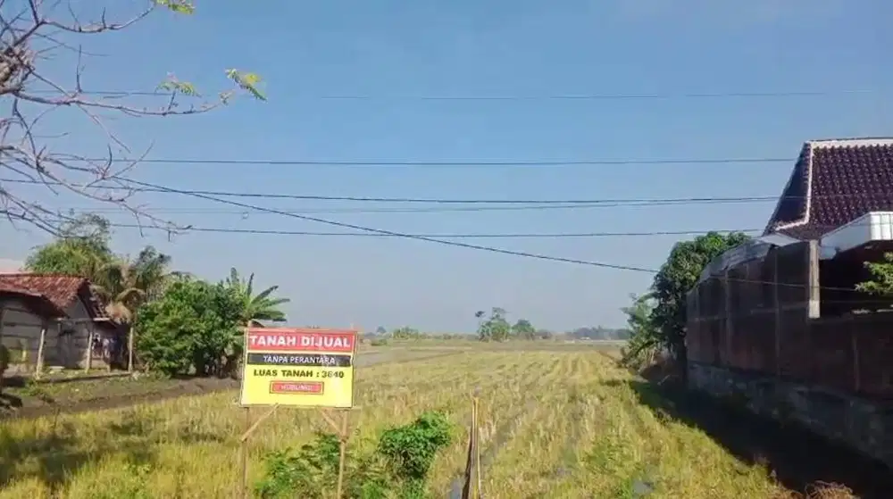 Dijual Tanah Sawah Aktif Pinggir Jalan