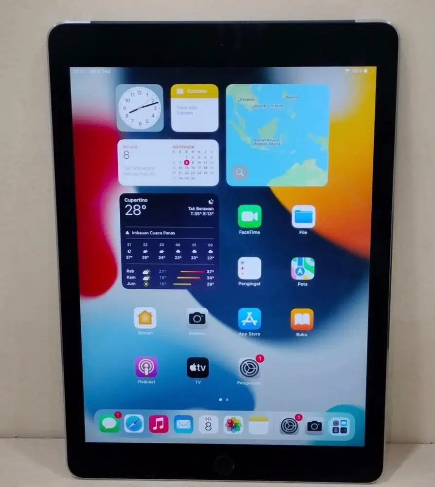 iPad Air 2 128GB Space Gary Wifi + Cellular mulus Like New