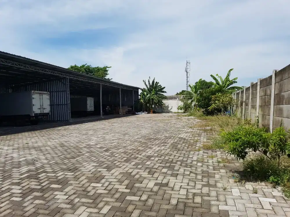 Disewakan Tanah Kosong di Genuk Semarang Sudah Pagar Bumi di Sekeliling