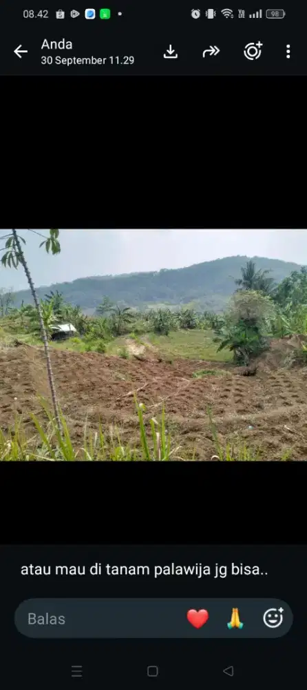dijual cepat sawah produktif dekat tol Darangdan Purwakarta