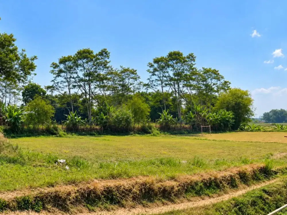 DIJUAL CEPAT! TANAH STRATEGIS PINGGIR JALAN UTAMA – HARGA NEGO & BISA CICIL 3X
