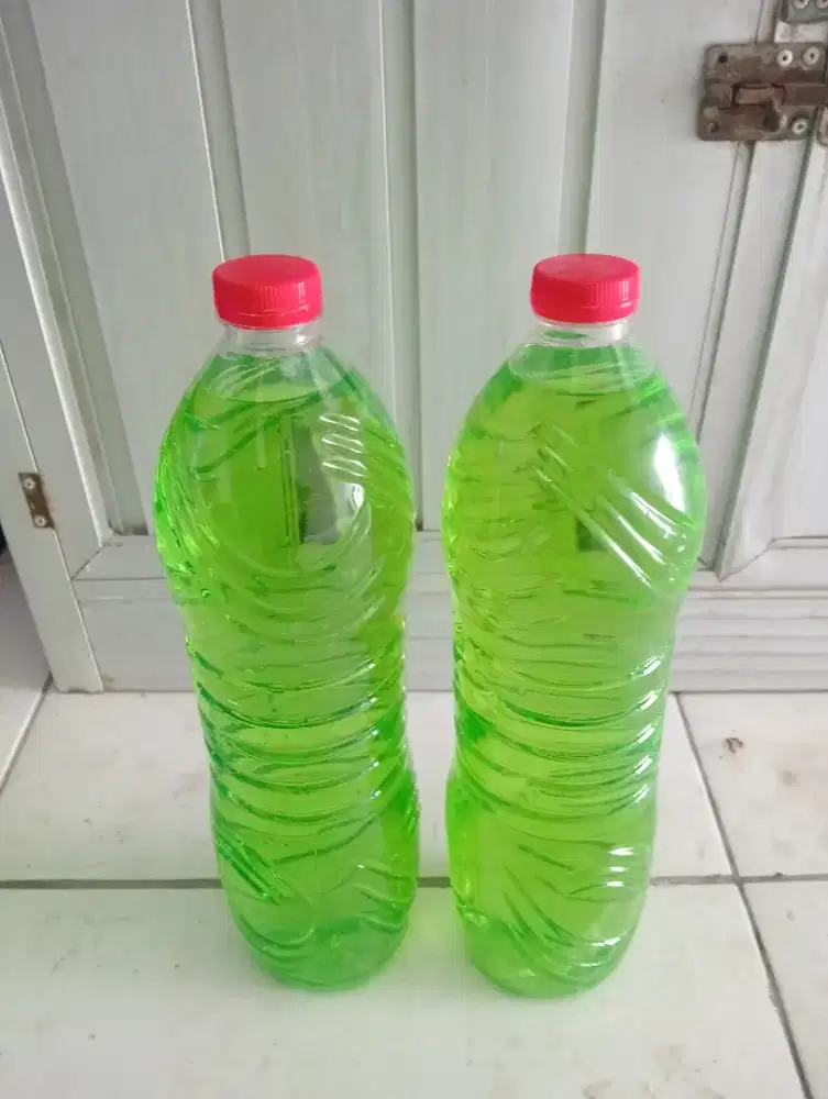 Jamur kaca bisa juga buat ditoilet
