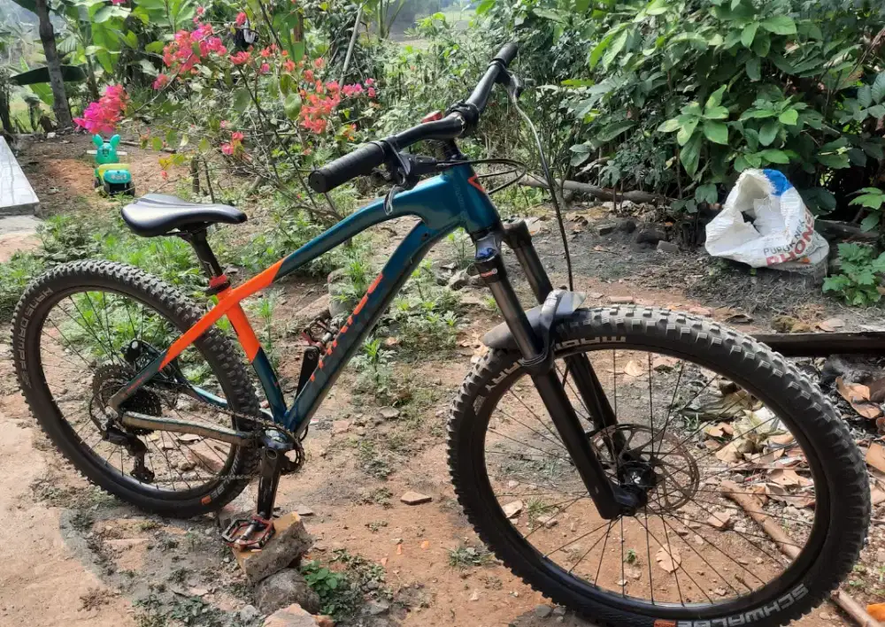 Sepeda thrill wreak T140