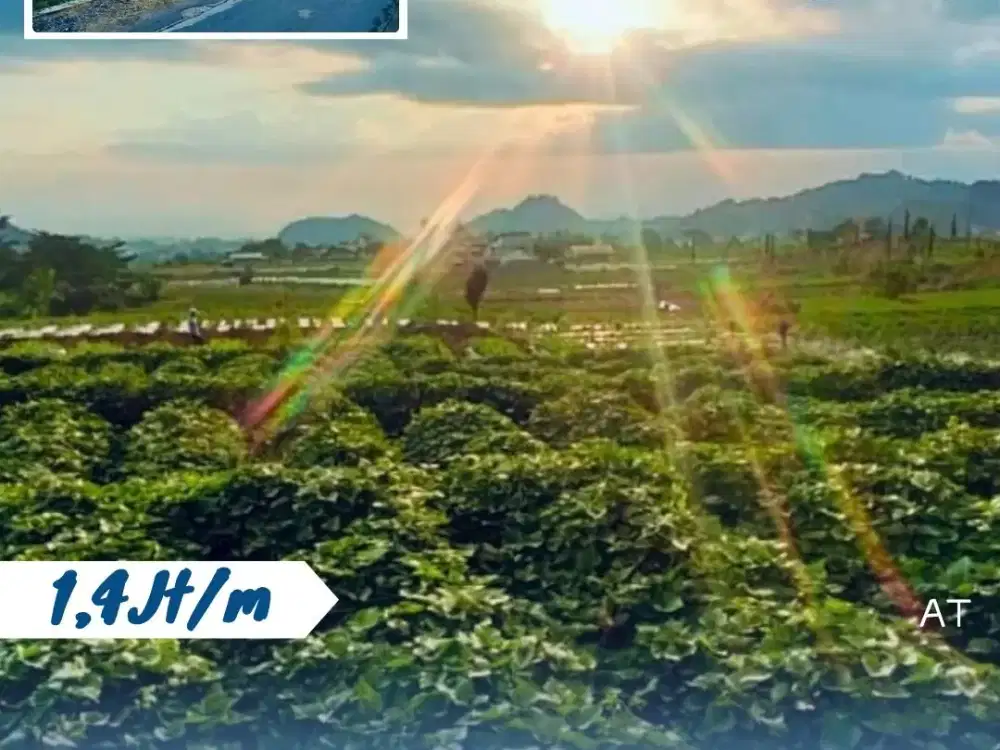 Dijual Tanah Di Tawangmangu, Karanganyar