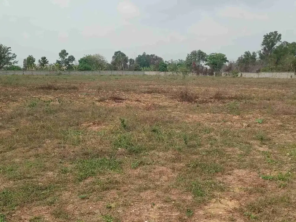 tanah industri ciruas
