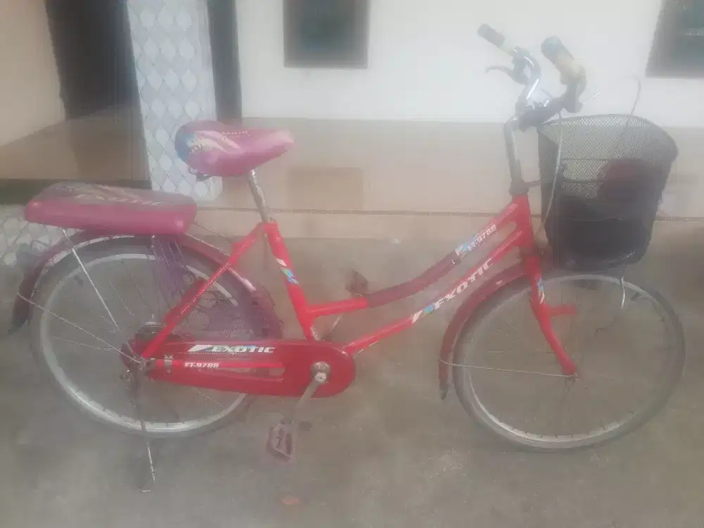 Sepeda mini cukup bagus
