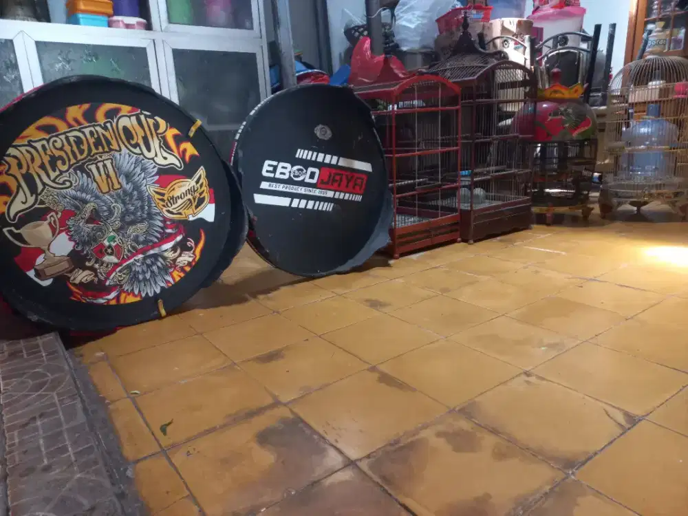 Sangkar burung bekas rasa baru