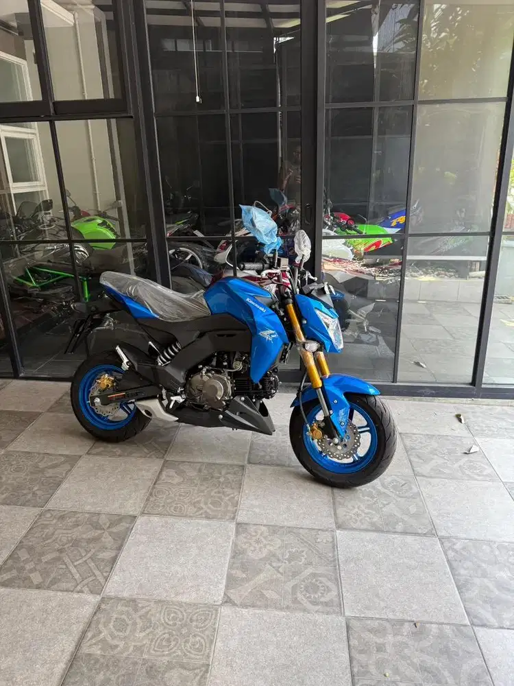 Kawasaki Z125 PrO