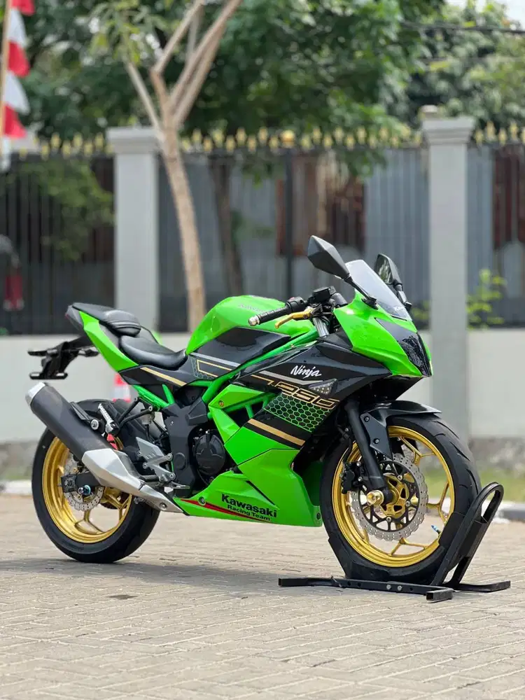 KAWASAKI NINJA 250 MONO SL 2019 HIJAU KRT KM LOW PAJAK ON SIAP GASPOL