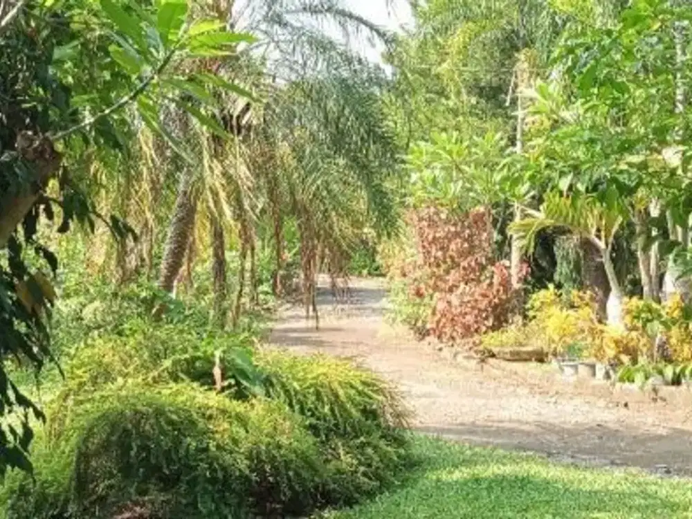 Dijual Rumah Jl. Otista, Pusat Kota Subang [ID 856]