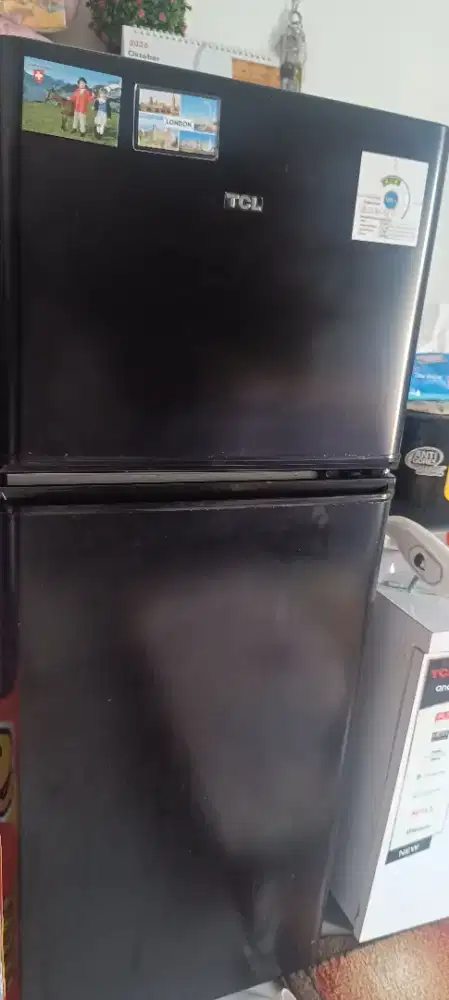 Kulkas 2 pintu TCL Kapasitas 118L Berkualitas