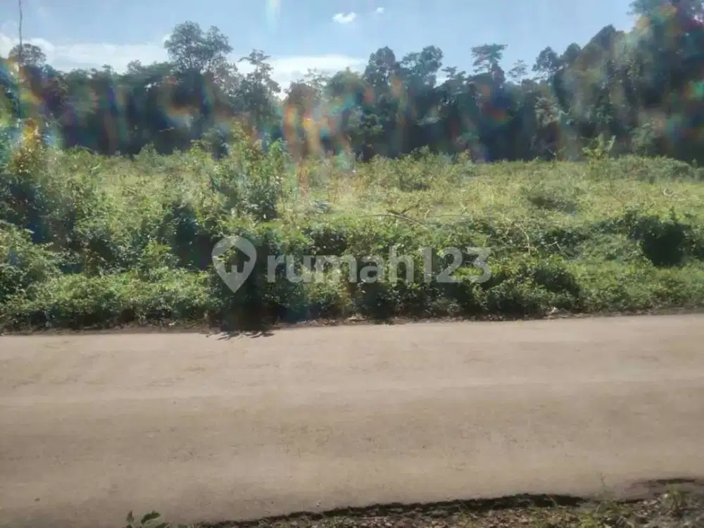 Tanah di Raguklampitan, Batealit, Butuh Dijual Segera
