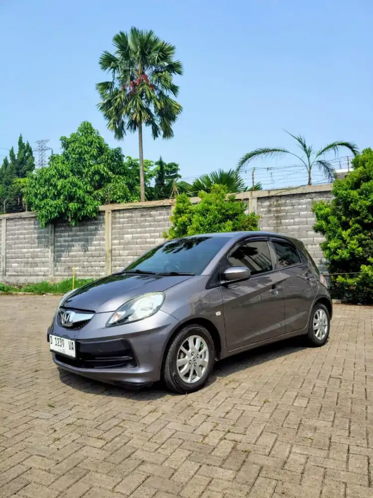 BRIO S MANUAL 2015