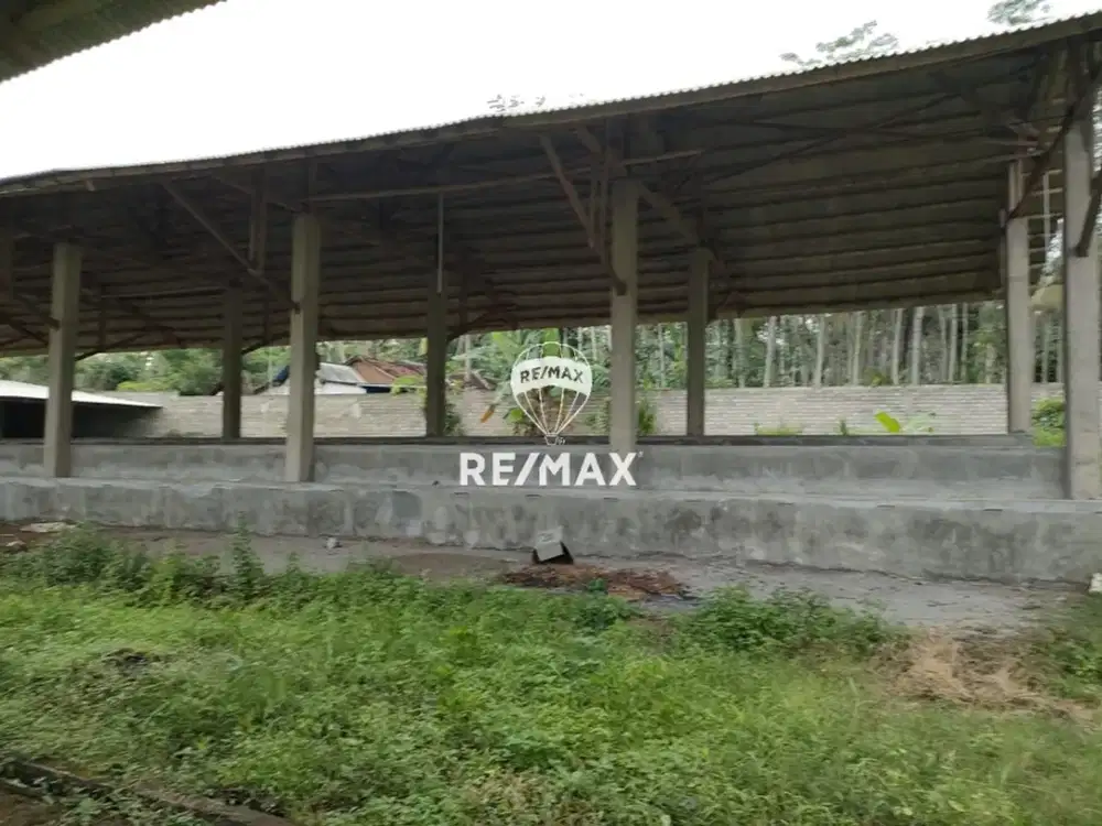 DIJUAL CEPAT!! LAHAN STRATEGIS EX.TERNAK SAPI KALIPURO, BANYUWANGI