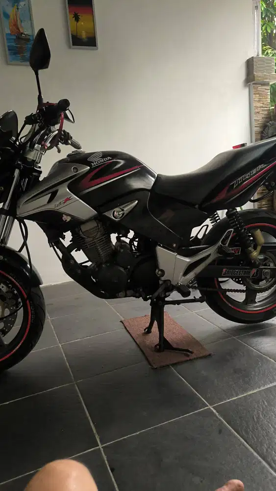 Tiger picek dari lahir siap turing
