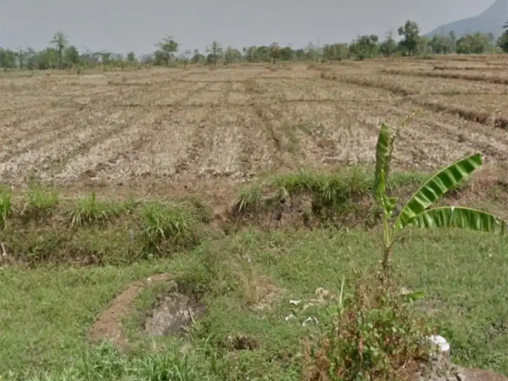 Dijual Tanah Industri Mojokerto, Kondisi Tanah Masih Sawah, Strategis