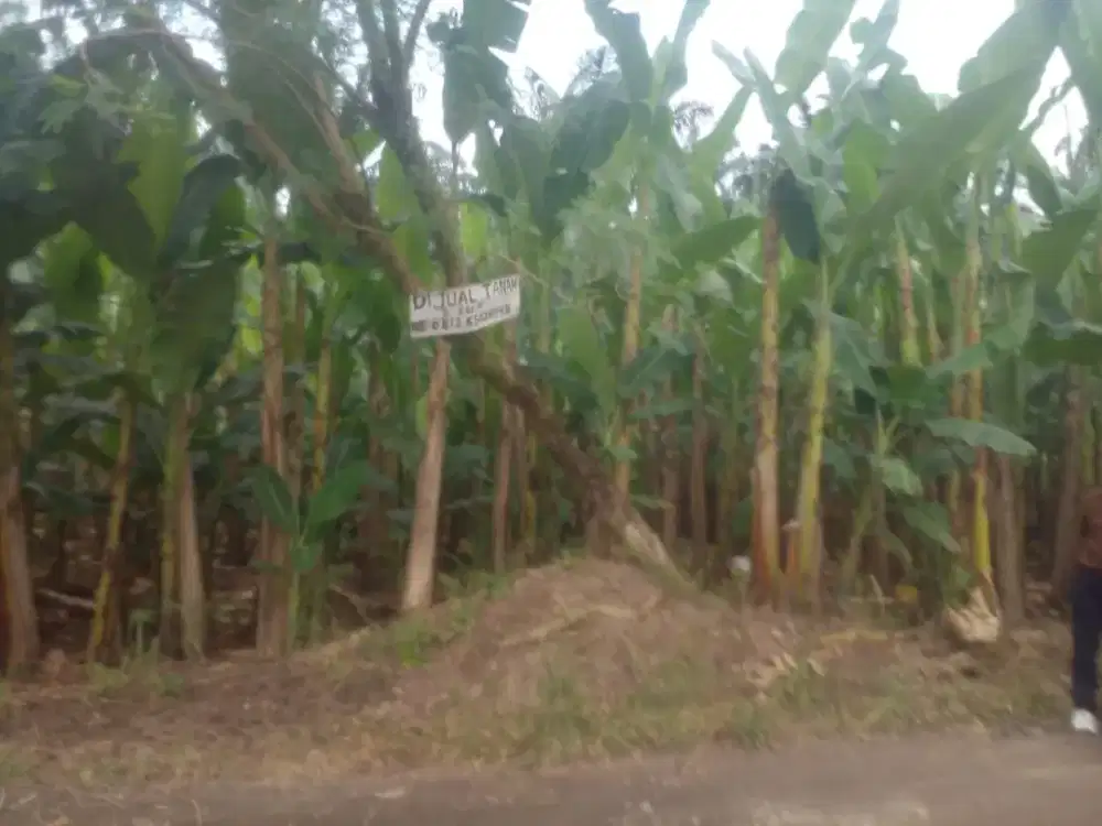 Dijual Sebidang Tanah