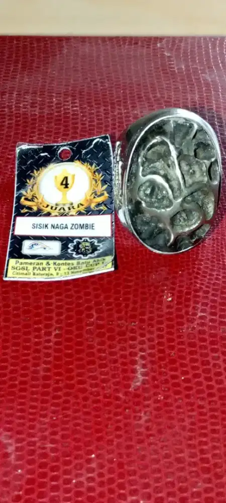 Sisik Naga Zombie Size Besar