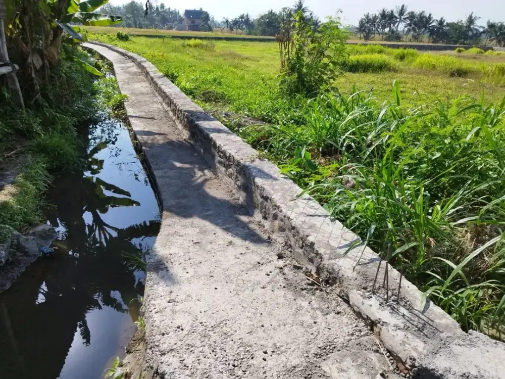 JUAL TANAH PREMIUM DI PANTAI KEDUNGU