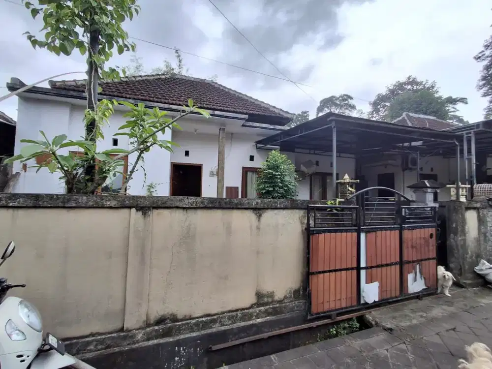 Rumah Tinggal Lokasi Strategis Dijual di Area Penarungan, Mengwi