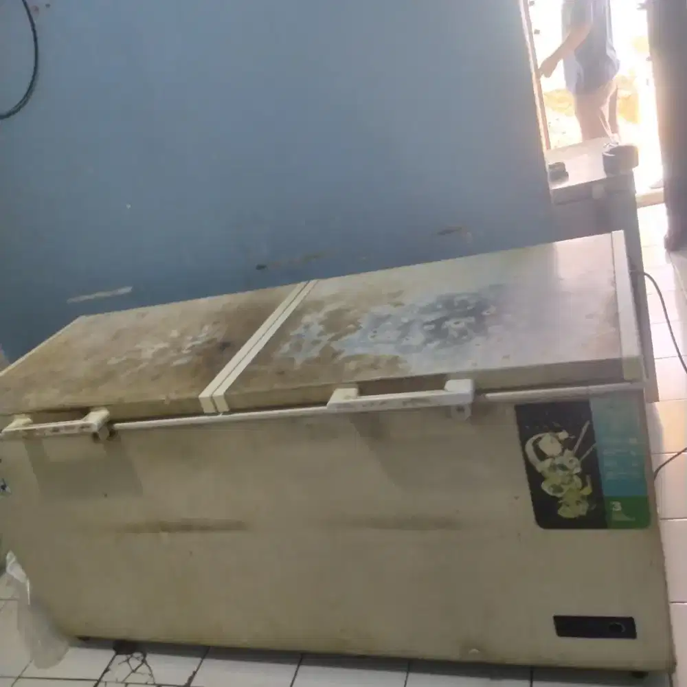 Jual Freezer RSA 600 liter