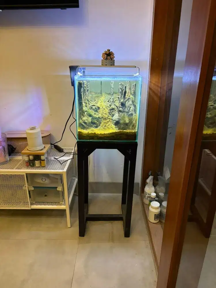 Termurah, dijual  Aquascape