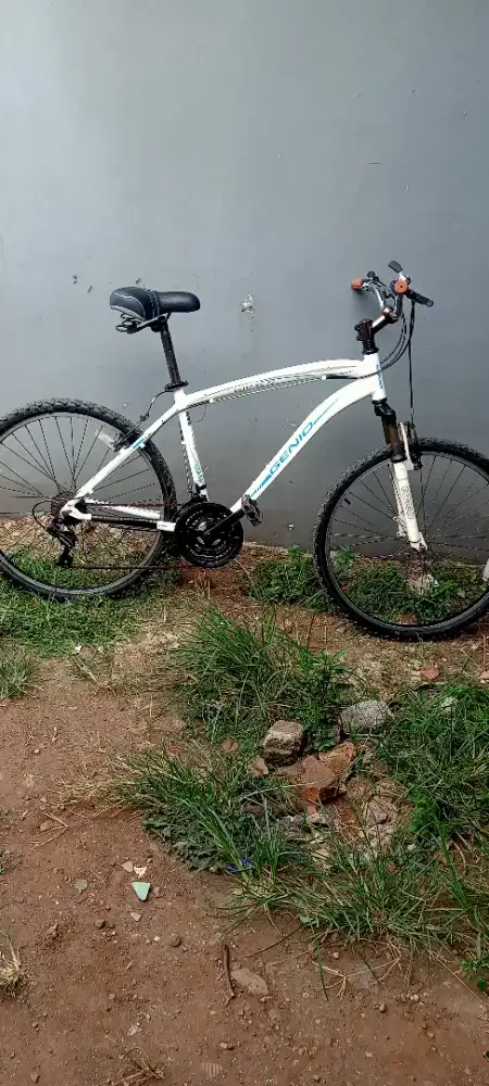 Sepeda Alloy Genio 72