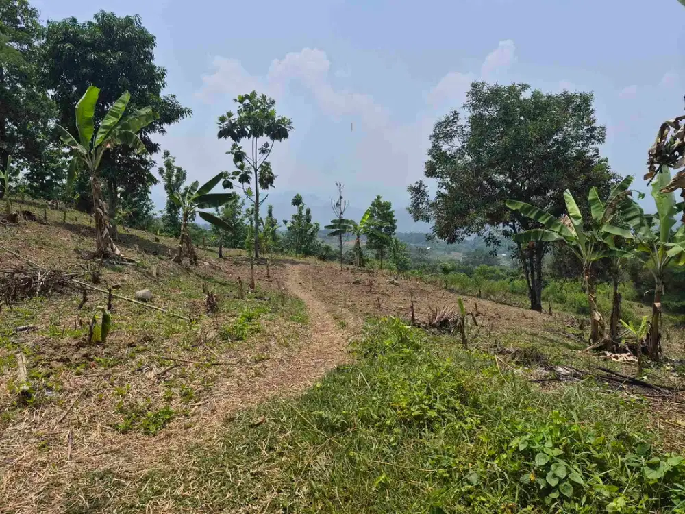 di jual tanah kebun