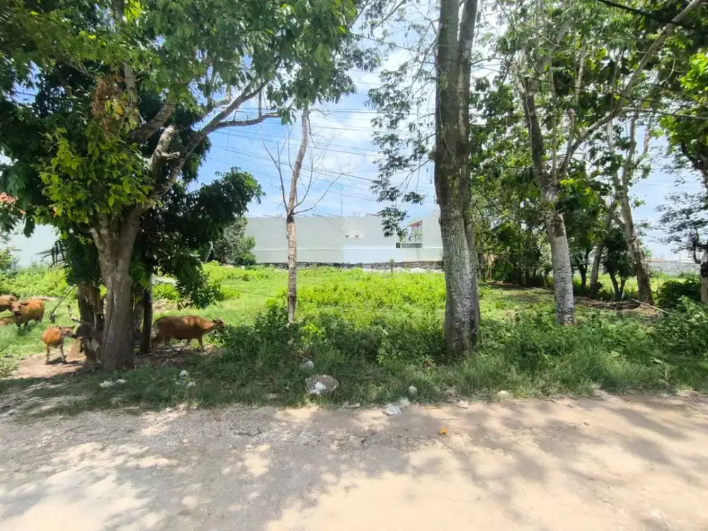 Dijual Tanah - Cemongkak, Bali Investasi Strategis di Kawasan Pariwisata & Villa