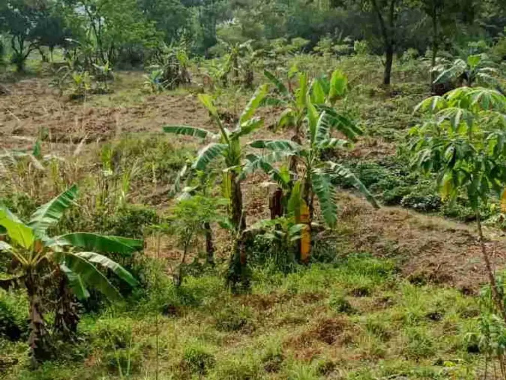 di jual tanah darat