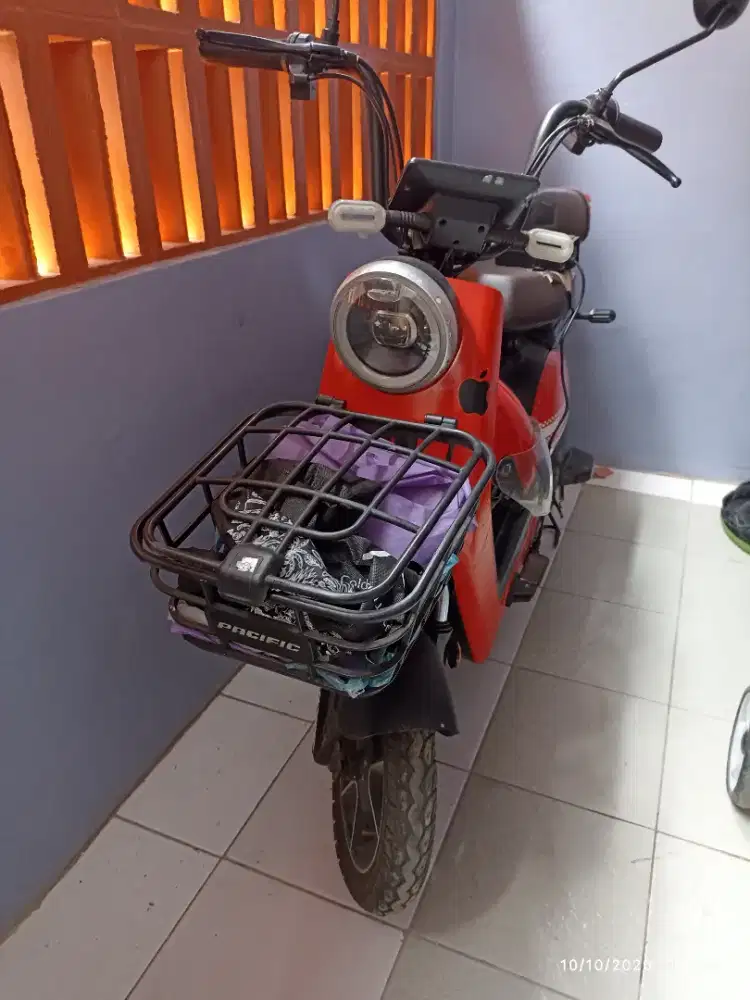 Sepeda listrik Pacifik Exotic