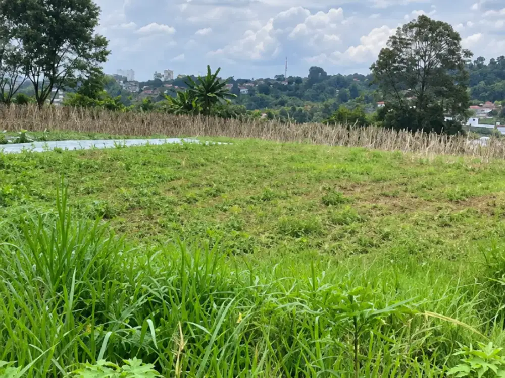 Tanah View Bandung Cocok Untuk Pengembangan Perumahan di Kawasan Dago Bandung
