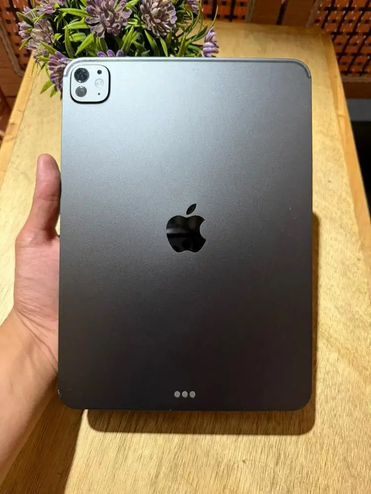 iPad Pro M4 Gen 5 (2024) 256 GB WiFi Only iBox