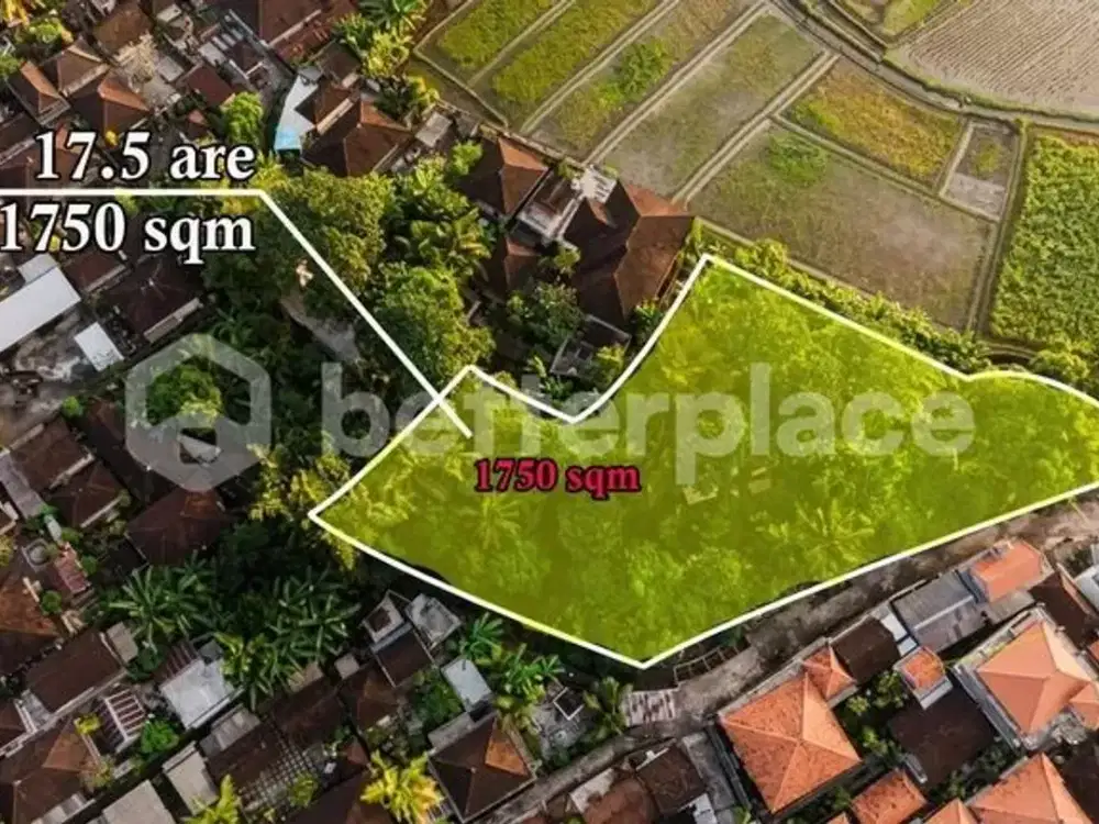 Invest Where Bali Is Heading Next: Expansive Kaba Kaba Parcel with Mountain, Paddy and Sunset Frontage