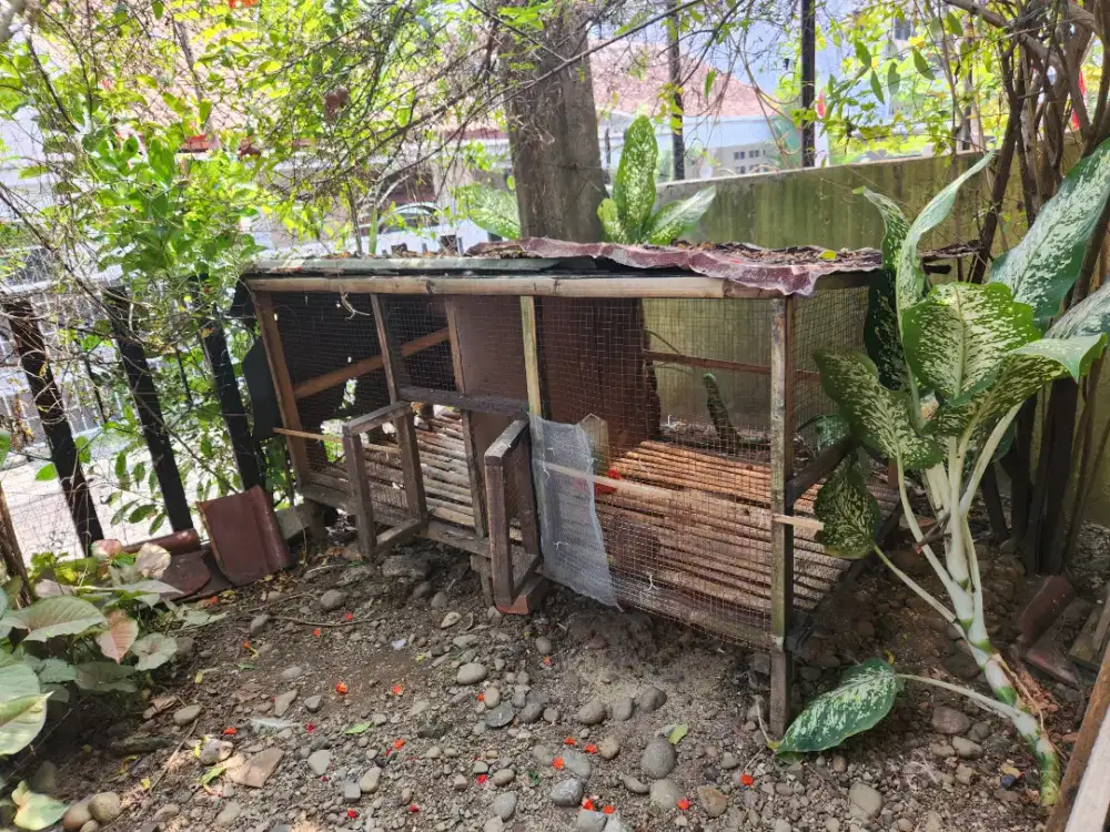 2 buah kandang ayam bekas