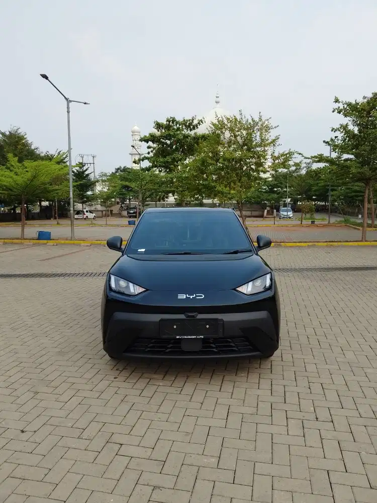 Jual BYD ATTO 1 Standar