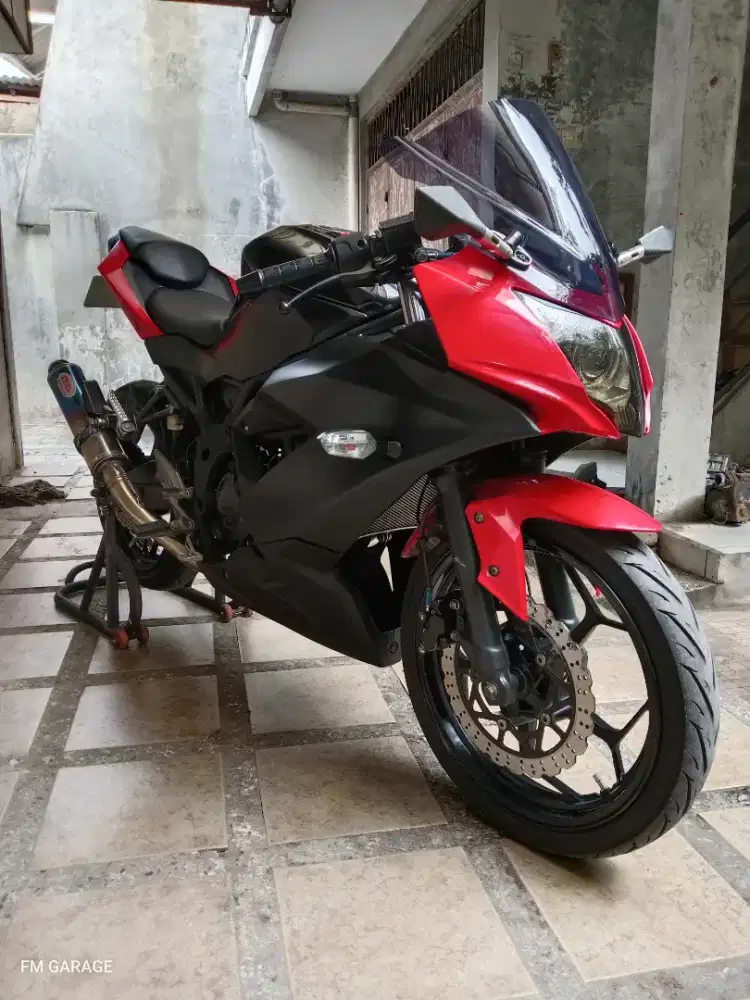 Ninja 250 mono sl