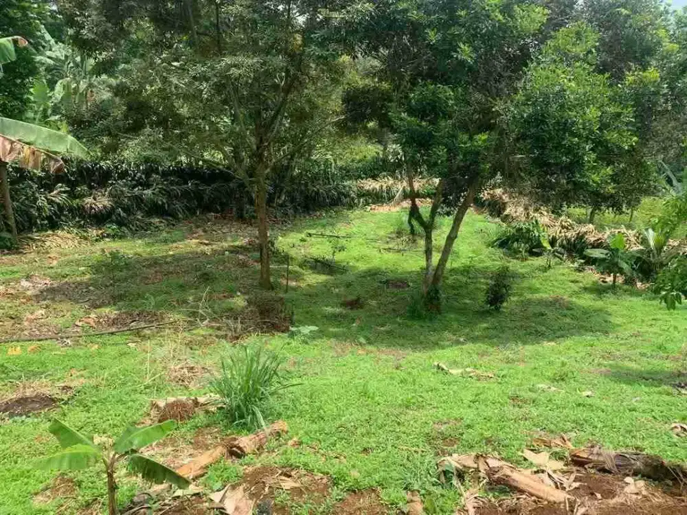 di jual tanah darat di bojong koneng
