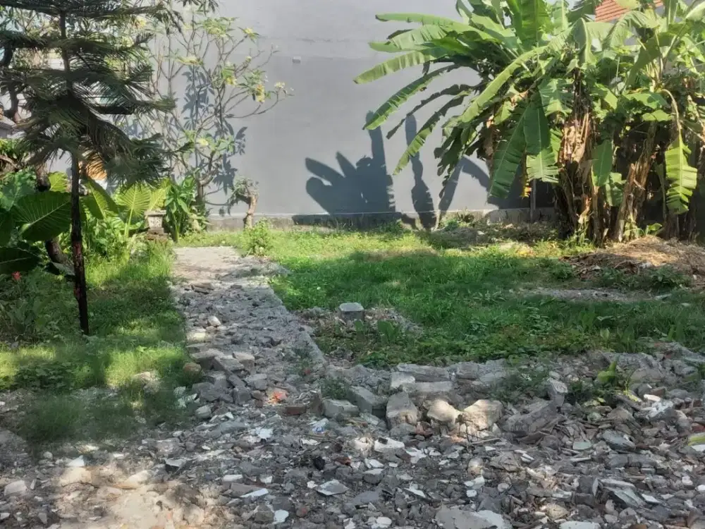 Tanah Cantik 3,5 Are Disewakan di Tukad Balian, Denpasar Selatan