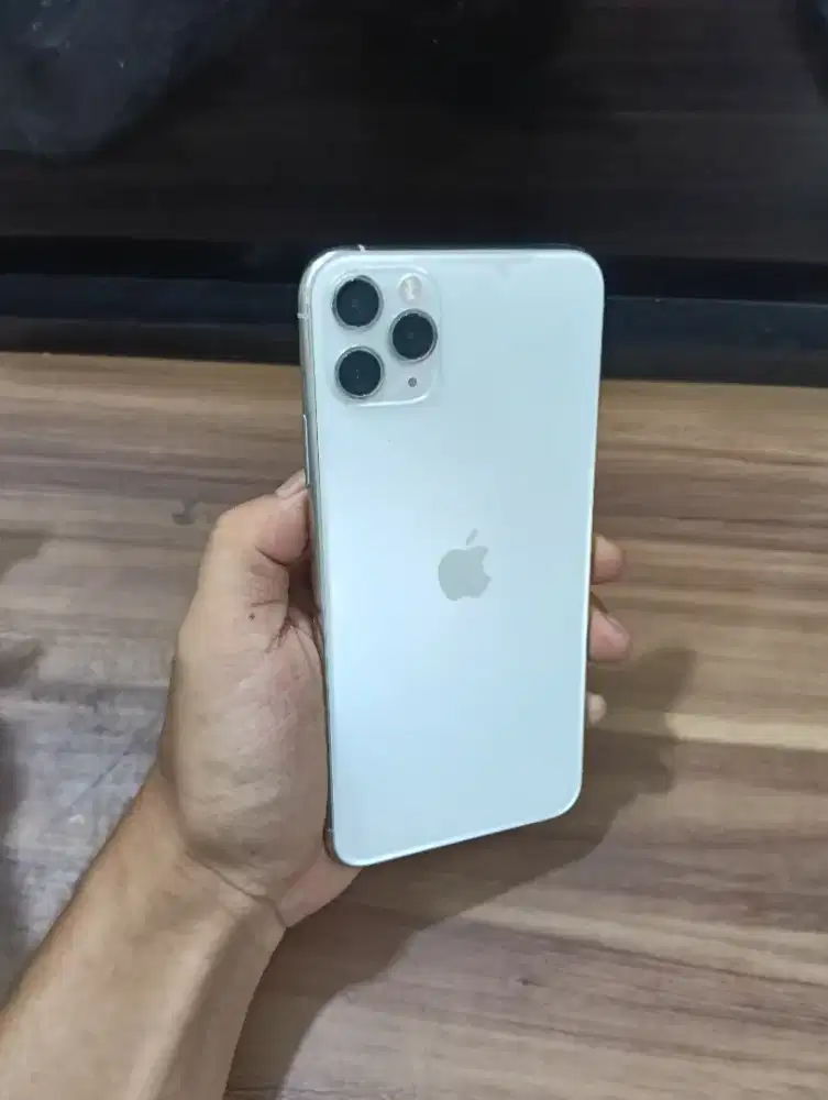 iPhone 11 ProMax 256gb batangan