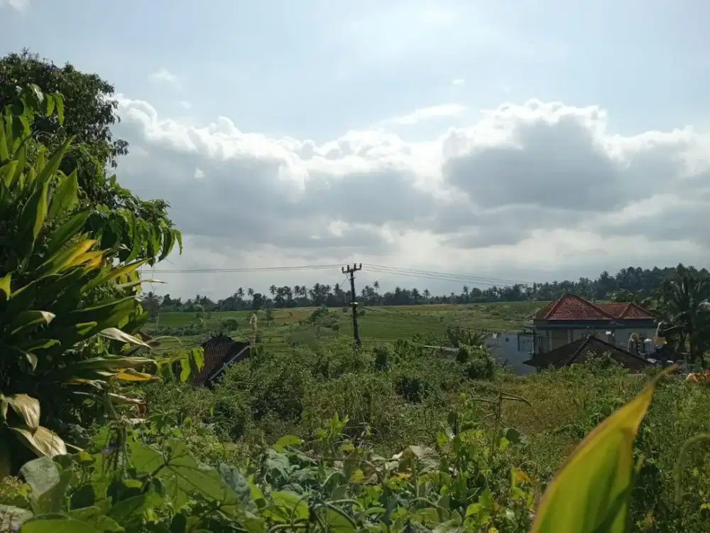 Tanah Lokasi Premium di Area Kota dengan Visibilitas Tinggi